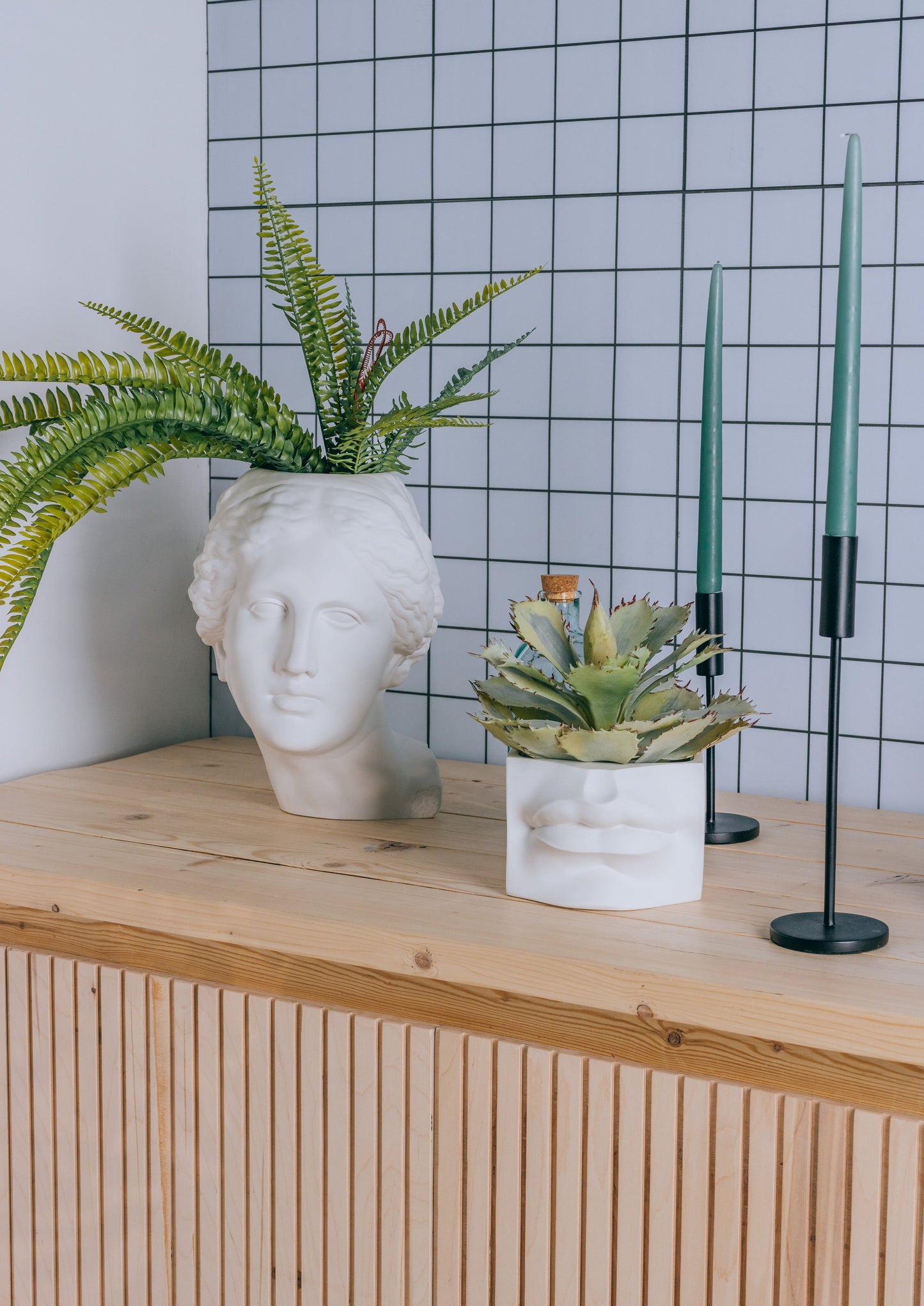 'Lips of David' Planter