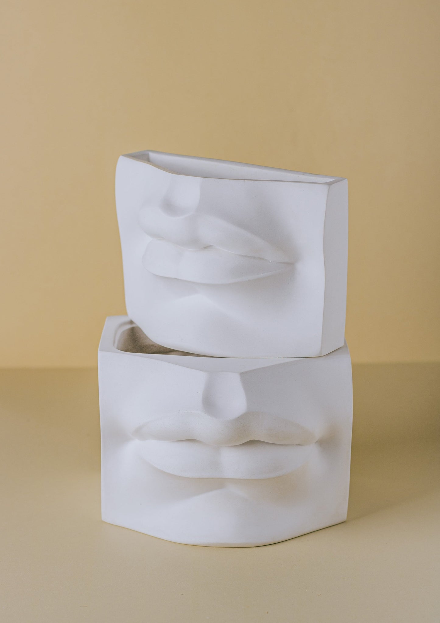 'Lips of David' Planter