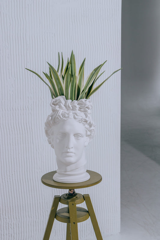 'Apollo' Vase